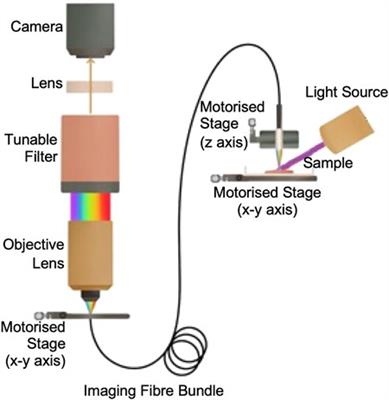 An ultrathin fiber-based fluorescent imaging probe based on hyperspectral imaging